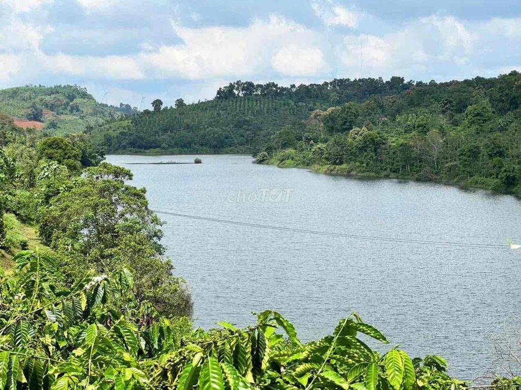 Bán Vườn Thuận An Bám đập cách tỉnh lộ 683 nhựa 300m, đã tách 5 sổ sẵn - Ảnh 2